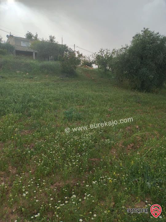 قطعة ارض مساحة 3 دونم و 600م للبيع في منطقة السلط - سلعوف 