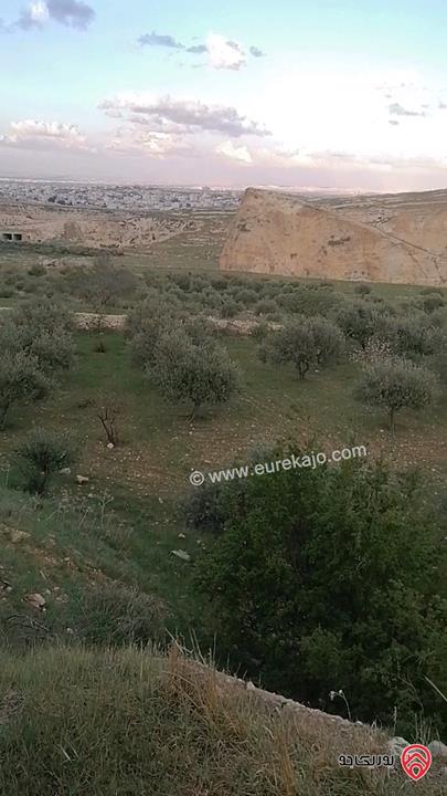 قطعة ارض مساحة 5 دونم للبيع في اربد - الحصن