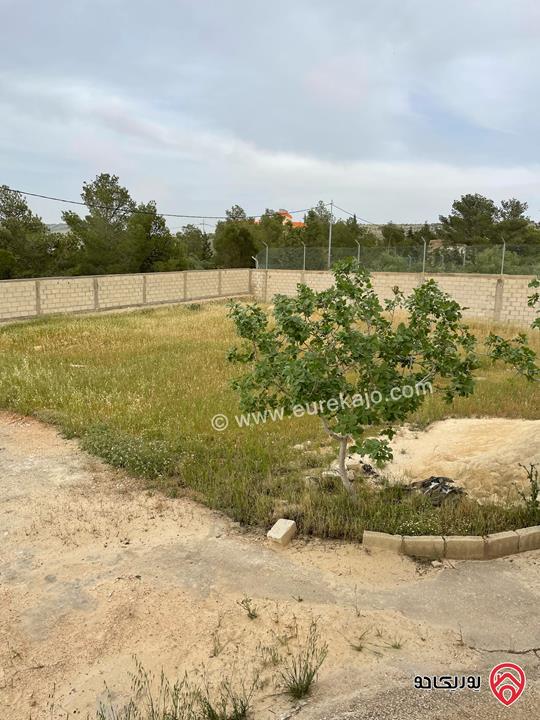 قطعة أرض مميزة مساحة 5 دونم للبيع في عمان - ناعور المشقر