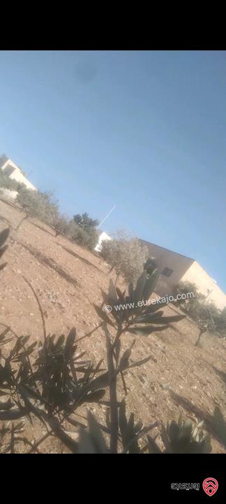 قطعة ارض مساحة 511م للبيع في عمان - منطقة البيضاء حوض الحميدين 