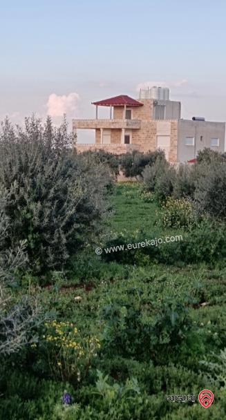 مزرعة سرايا الشهم للايجار اليومي في اربد - العال