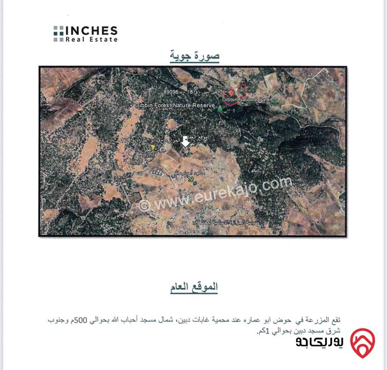 مزرعة جميلة مميزة مساحة 3 دونم و 549م مع بيت طابقين 200م للبيع في أراضي جرش - دبين 