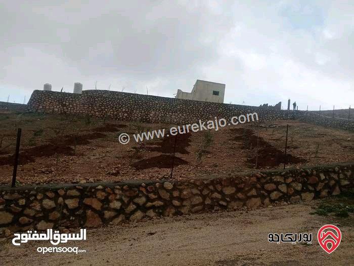 مزرعة للبيع في المفرق - بمنطقة بلعما بمساحة 3400م مسنسله سنسال جميل وضخم يوجد فيها منزل طابقين مساحته 160م ويوجد أشجار زيتون ووحمضيات وشجر زينة يوجد بئر ماء 40م ويوجد ساعة كهرباء وسور استنادي 