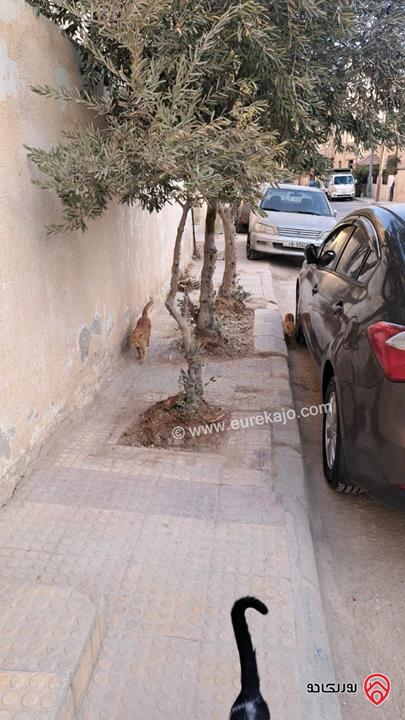 منزل مستقل على أرض 234م للبيع في عمان - ماركا 
