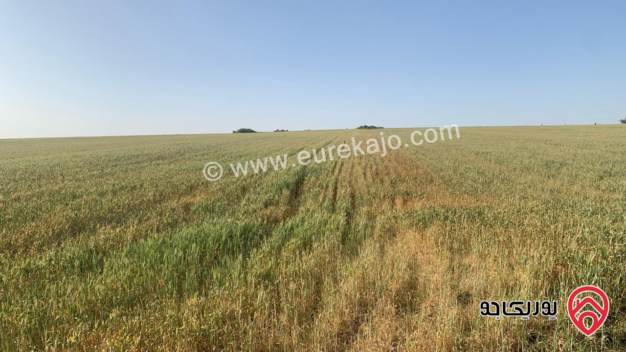 قطعة ارض مساحة 10 دونم للبيع شمال مدينة اربد منطقة ام قيس