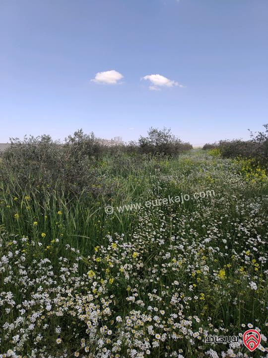 أرض مساحة 3 دونم و 400م للبيع في عمان - حوارة