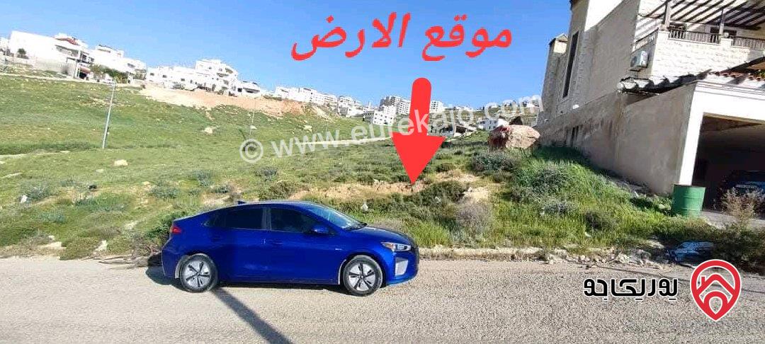 ارض مساحة 500م للبيع في عمان - صافوط