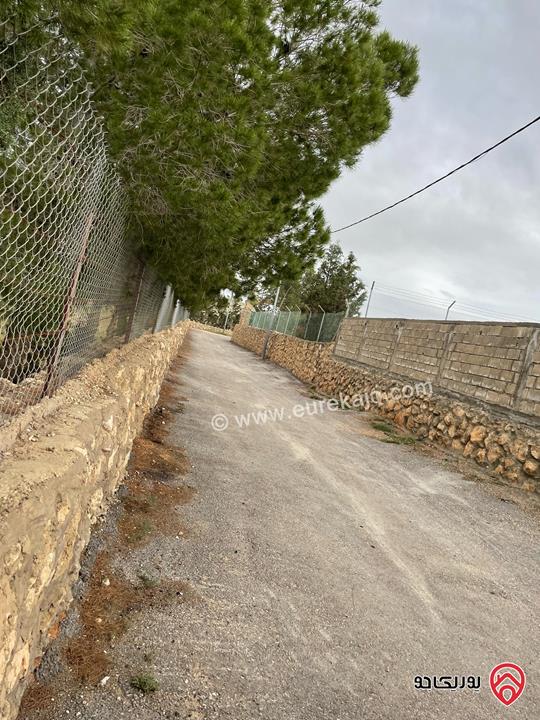 قطعة أرض مميزة مساحة 5 دونم للبيع في عمان - ناعور المشقر