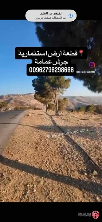 قطعة أرض استثمارية مساحة 10 دونم منتجة للبيع من اراضي جرش عمامة 