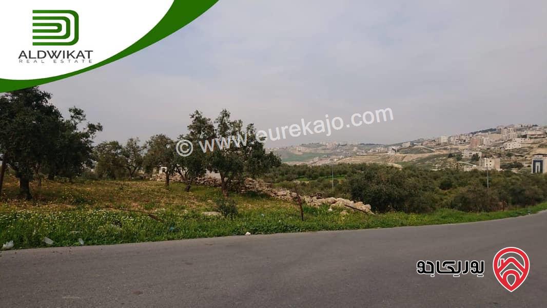 ارض مساحة 745م للبيع في عمان - ضاحية النخيل خربة سكا / طريق المطار