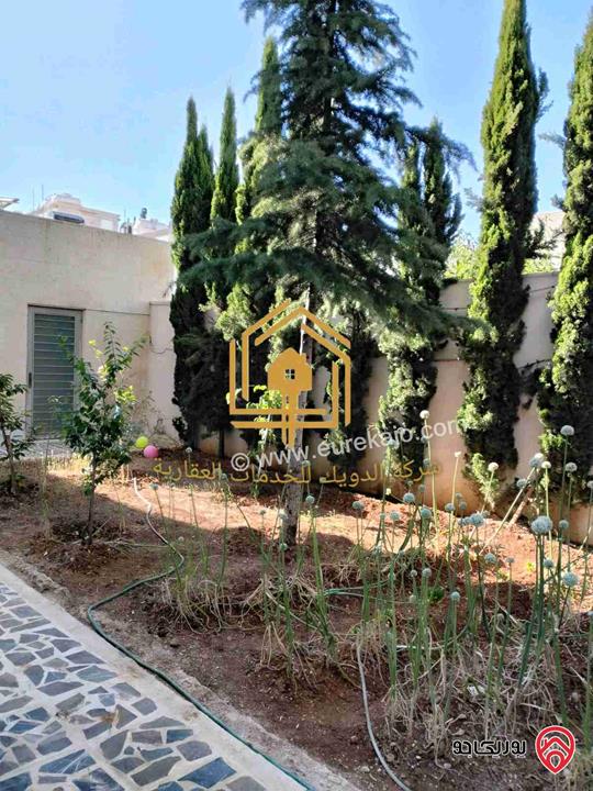 شقة فارغة طابق شبه ارضي مساحة داخلية 200م ومساحة خارجية 180م للإيجار في عمان - ضاحية النخيل 
