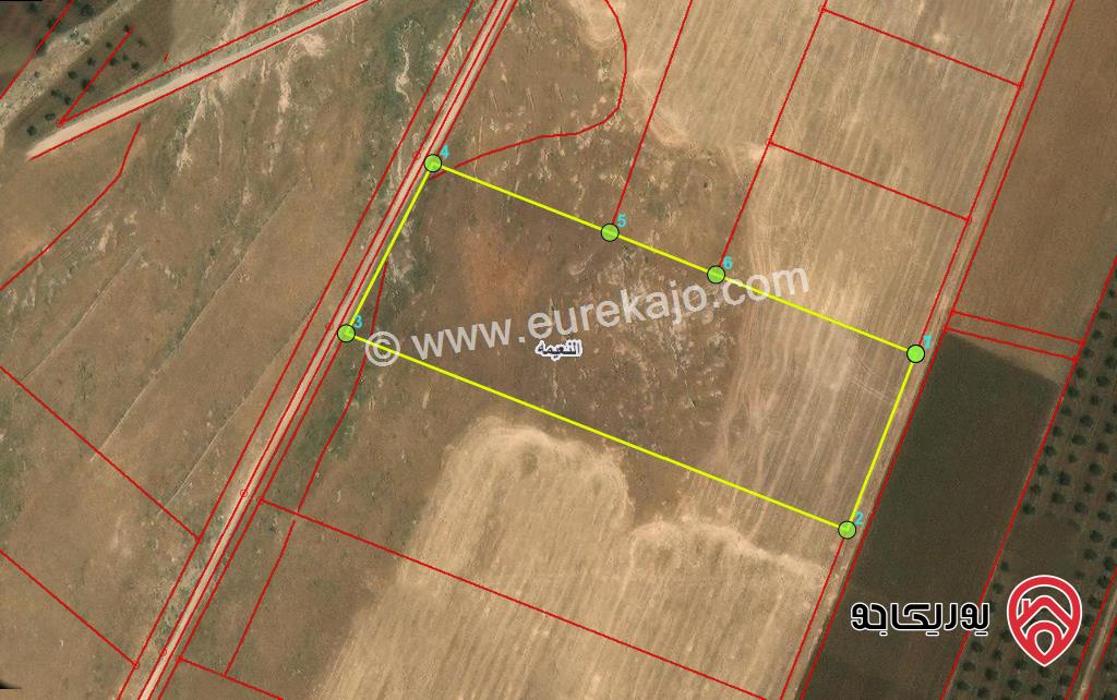 قطعة ارض مساحة 11 دونم و 219م للبيع في اربد - النعيمة 