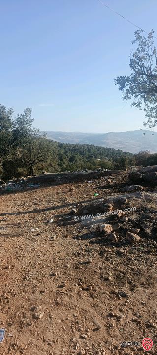 أرض مساحة 650متر للبيع في عمان - ابو السوس أسكان المهندسين