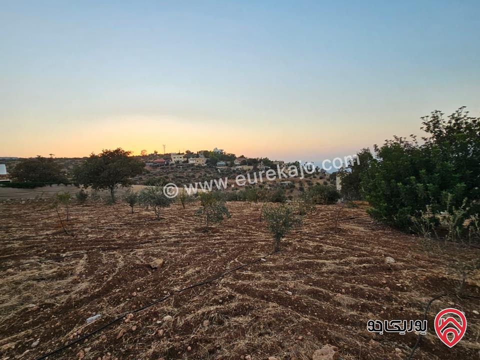 مزرعة ريفية مساحة الأرض 3 دونم و 500م والبناء 130م للبيع في السلط - الصبيحي
