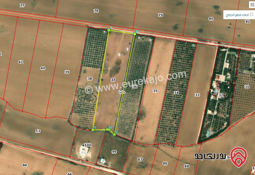 قطعة ارض مساحة 13 دنوم و 600م للبيع في مادبا