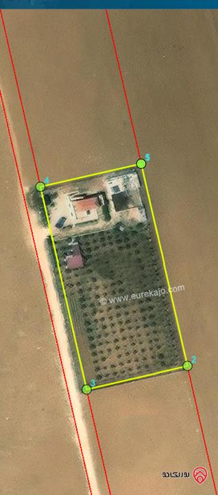 أرض زراعية مساحة 4 دونم للبيع في مادبا - الواحة - سدر الزغارير قريبة من الجامعة الامريكية