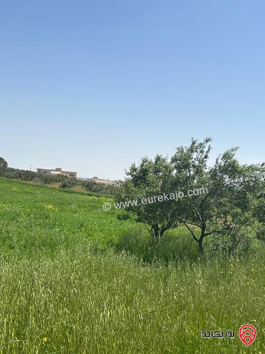 أرض مساحة 4 دونم و 276م للبيع في مادبا - الفيصلية