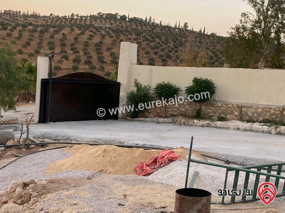 مزرعة مساحة الأرض 4 دونم و 60م للبيع في المفرق - بلعما مع أشجار زيتون مع أشجار زينة