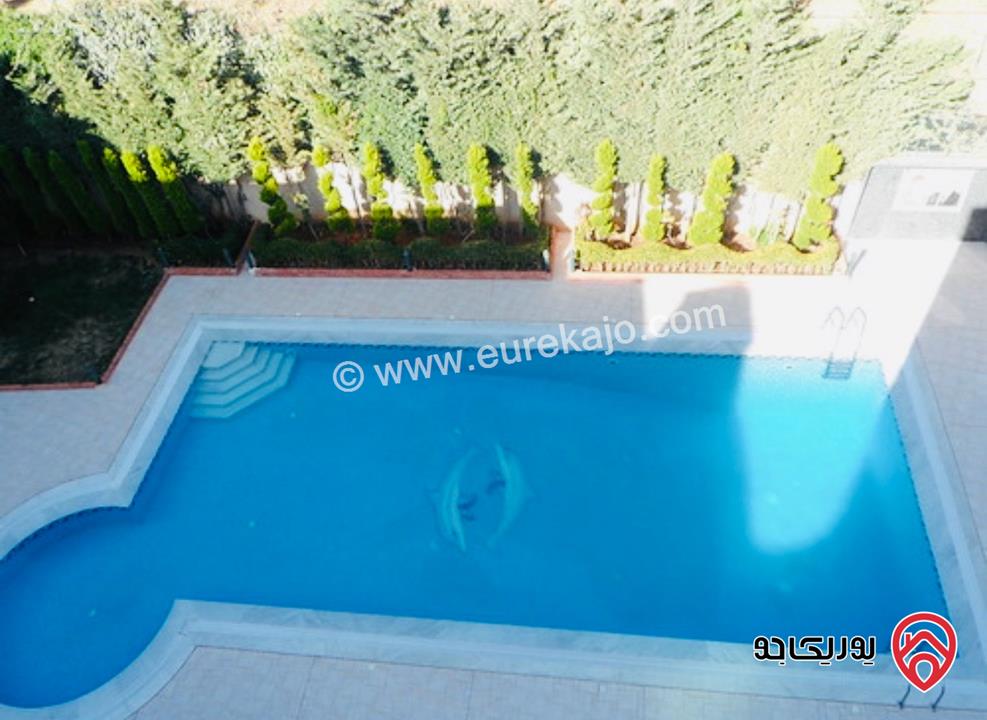 قصر عدد 2 على أرض 4 دونم و 800م للبيع في عمان - طريق المطار الظهير تصلح لرجال الأعمال والشخصيات الكبرى 