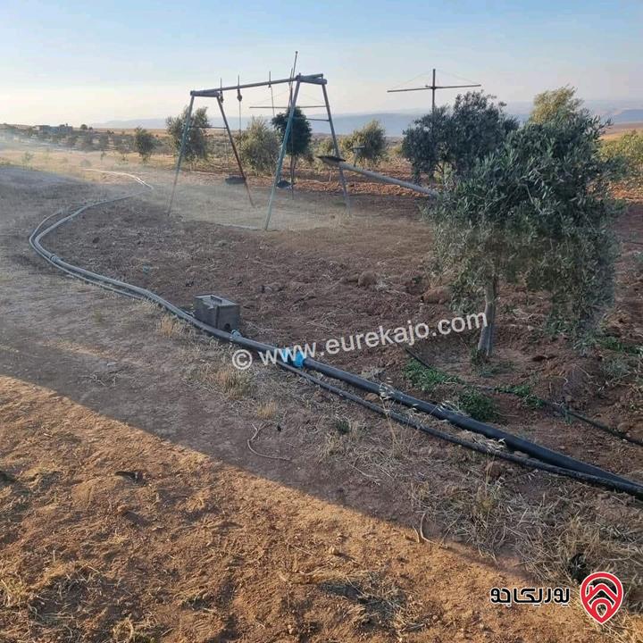 أرض زراعية مساحة 25 دونم للبيع في الكرك - فقوع