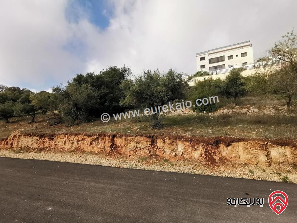 أرض سكنية مساحة 856م للبيع في عمان - بدر الجديدة  حوض الميسر