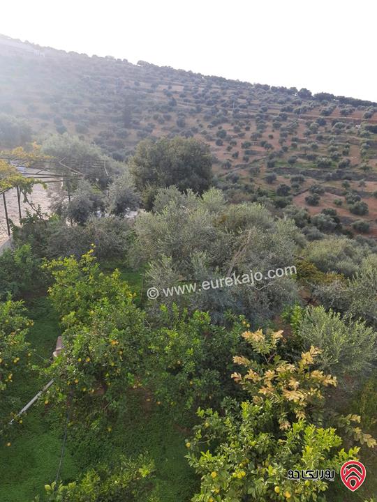 مزرعة زيتون مساحة الأرض 8 دونم و 300م و البناء مساحة 100م للبيع في السلط