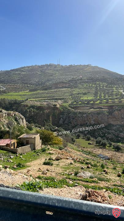 ارض تجارية مساحة 1500م للبيع في عمان - عراق الامير