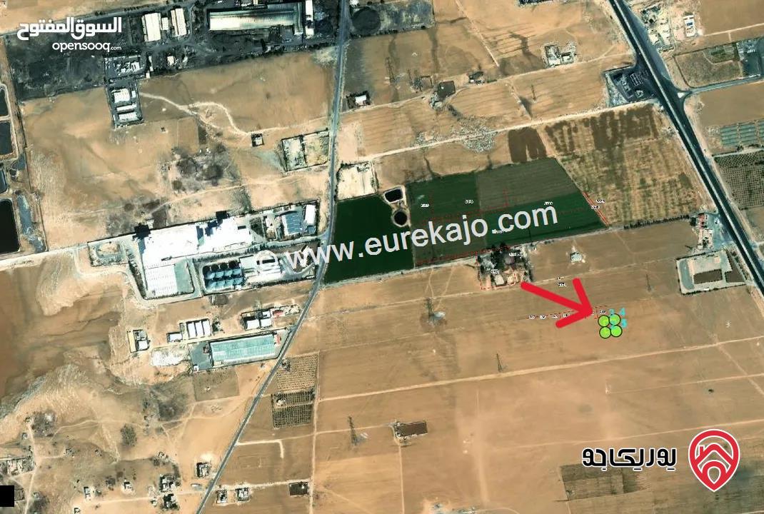 قطعة ارض مساحة 1 دونم للبيع من اراضي جنوب عمان - الجيزة قريبة من الطريق الصحراوي تصلح لكافة الاستثمارات