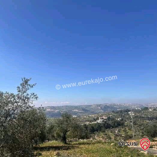 ارض مساحة 1 دونم للبيع في عمان - بدر الجديدة منطقة الكاشف