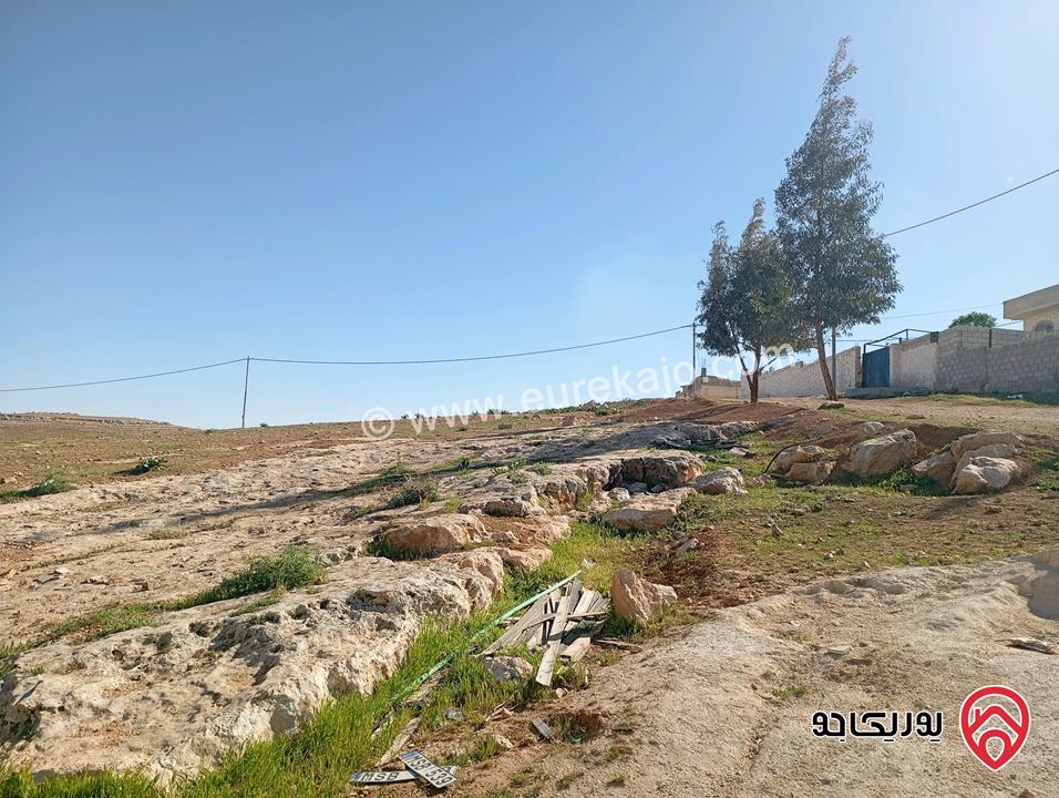 ارض مساحة 2 دونم و 400م للبيع في المفرق - الزنية قابل للتفاوض للجادين