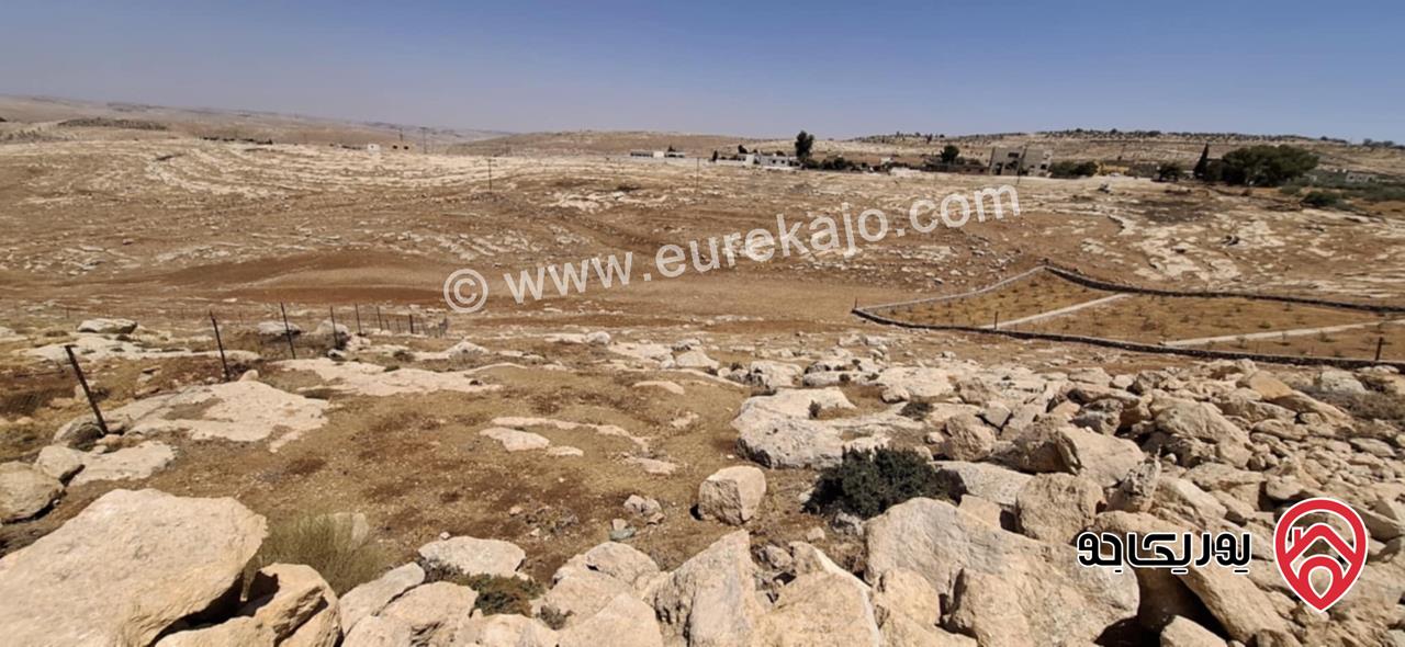 أرض مساحة 5 دونم و 65م للبيع في مادبا - من أراضي ذيبان - العريض