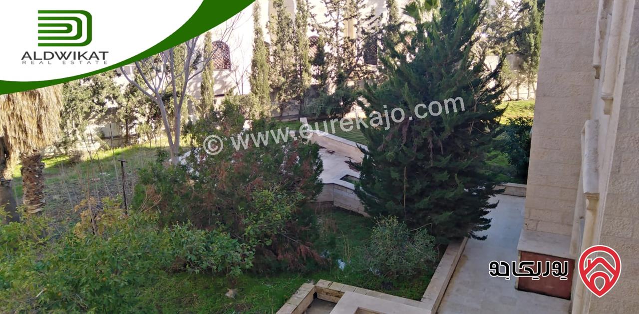 قصر مساحة البناء 3000م ومساحة الارض 3 دونم ومساحة الحديقة 1000م للبيع في عمان - طبربور