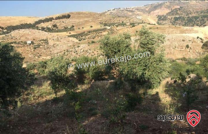 أرض مساحة 3 دونم و 427م للبيع في السلط