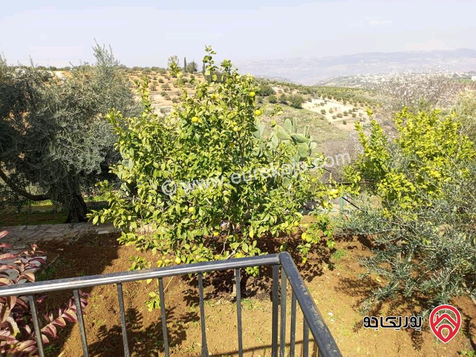 مزرعة زيتون مساحة الأرض 8 دونم و 300م و البناء مساحة 100م للبيع في السلط