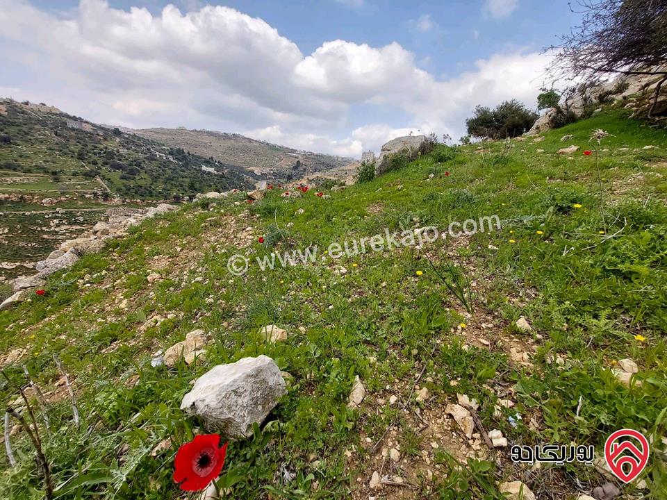  أرض سكنية للبيع في السلط - الجبيل مساحة 1052م (تصنيف أ)