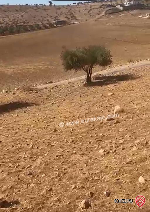 قطعة أرض مساحة 6 دونم و 721م للبيع في جرش - بليلا 
