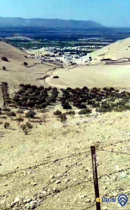 قطعة أرض مساحة 50 دنم في الغور الشمالي -اربد