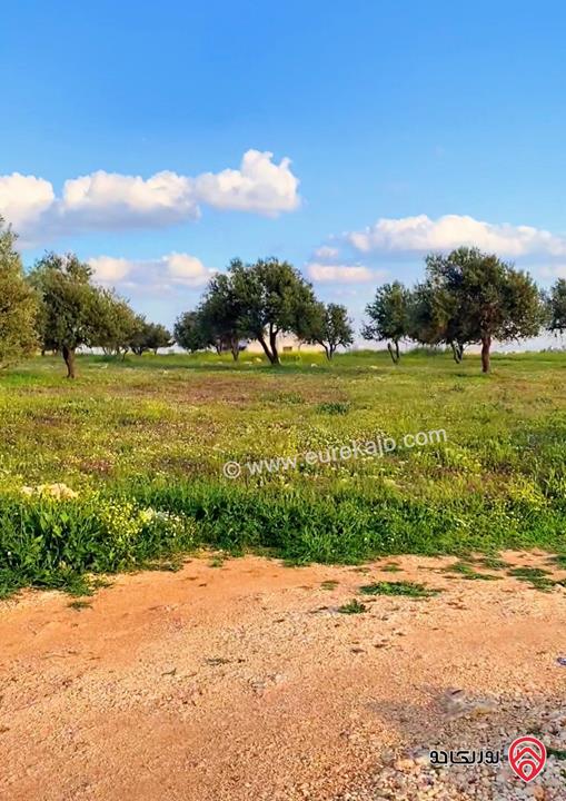 ارض مميزة مساحة 790م للبيع في عمان - ناعور خلف الشويفات