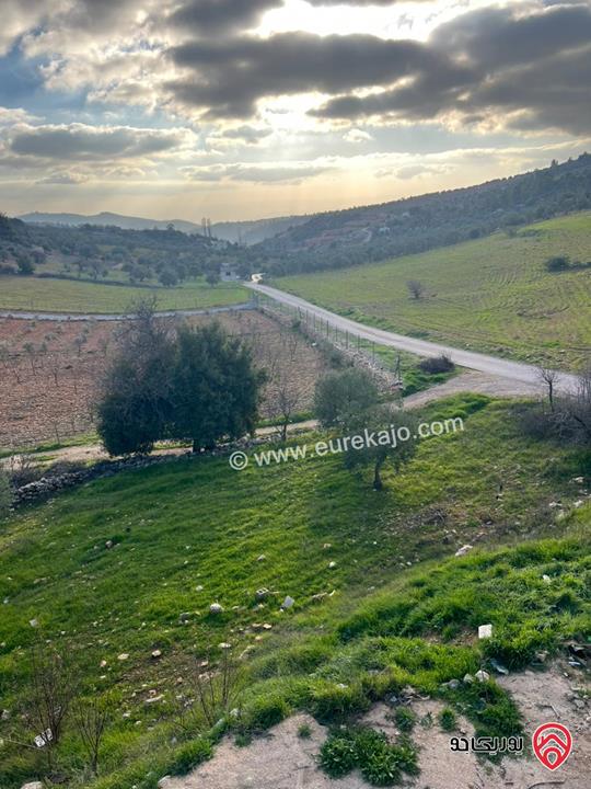 ارض مساحة 1 دونم و 982م للبيع في عجلون عنجرة سرابيس