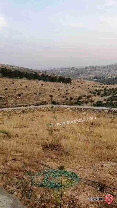 مزرعة مساحة 3400م للبيع في شرق جرش منطقة شاليهات عالية ومطلة