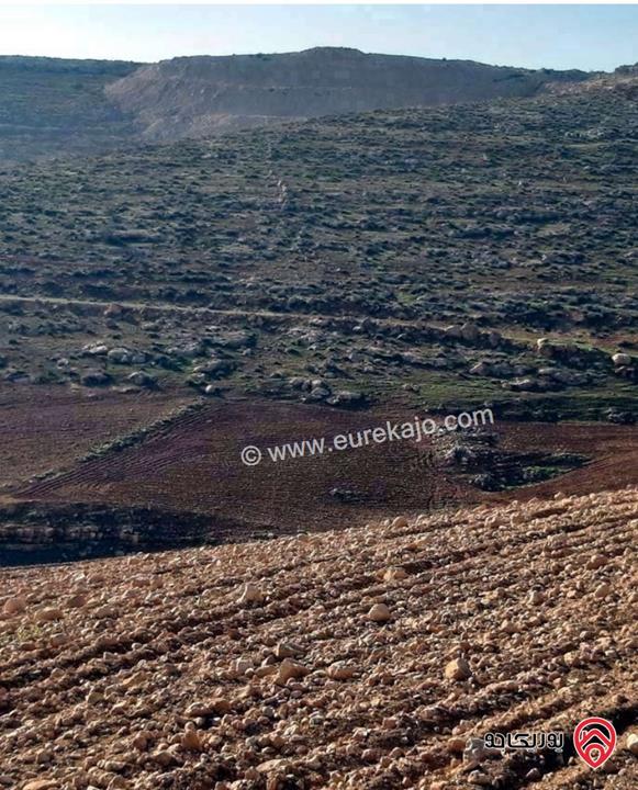 قطعة أرض مساحة 3 دونم و 500م للبيع في المفرق 