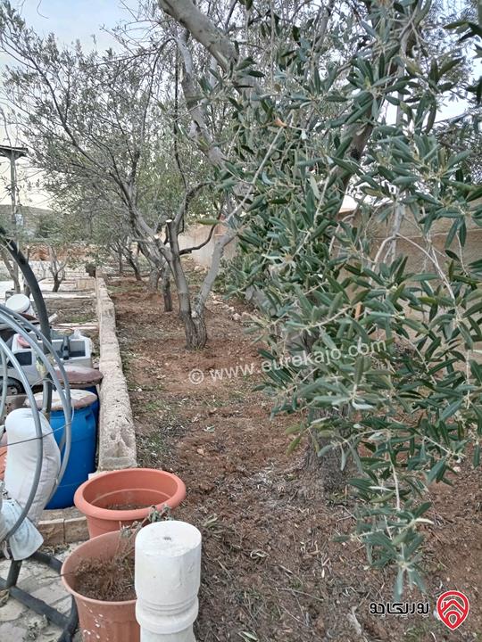 قطعة أرض مساحة 10 دونم و 704م للبيع في الزرقاء - بيرين