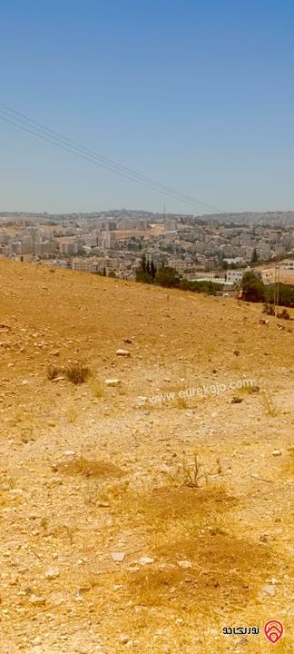 أرض بانورامية مساحة 751م للبيع في عمان - شفا بدران / مرج الفرس