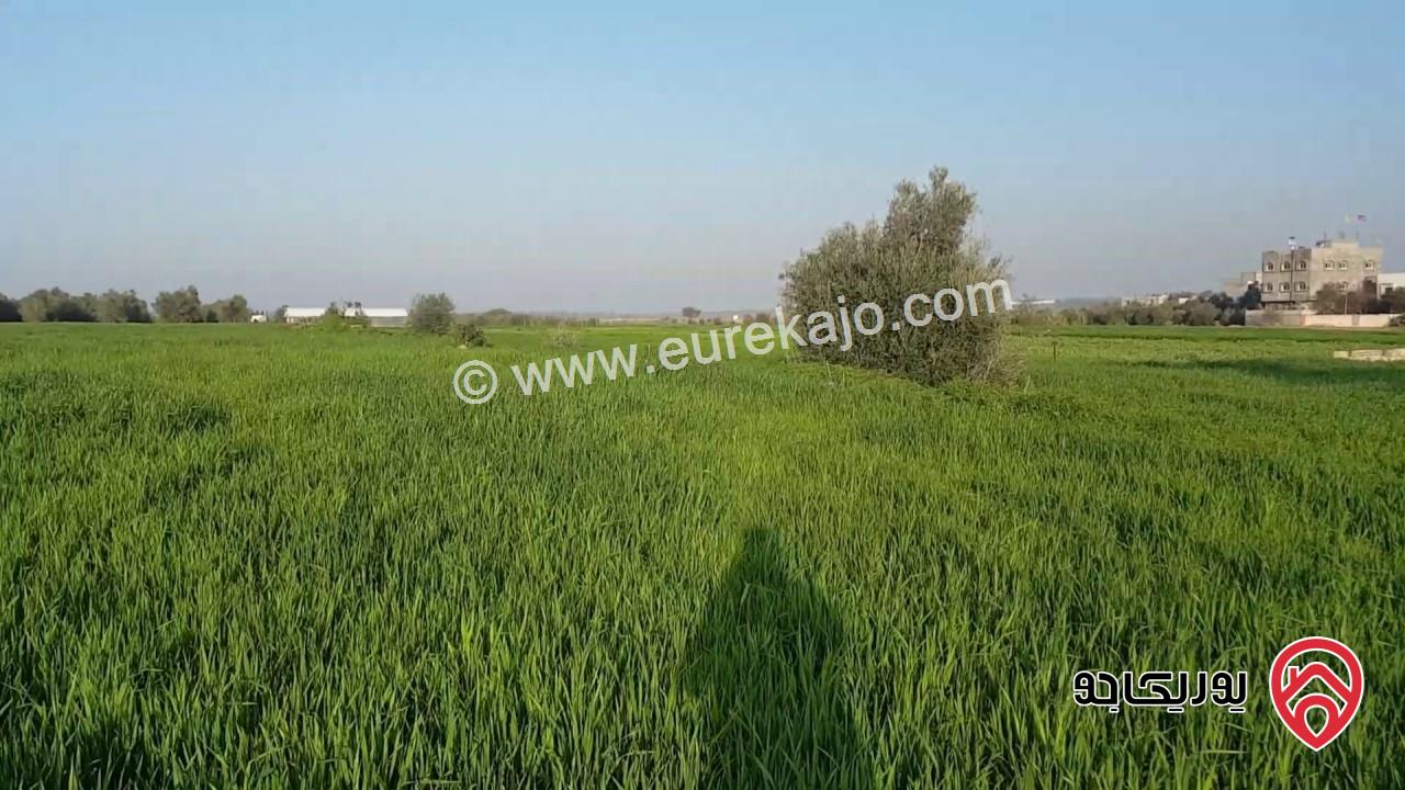 ارض مساحة 4 دونم و 463م للبيع في اربد - حواره حوض الزعر 