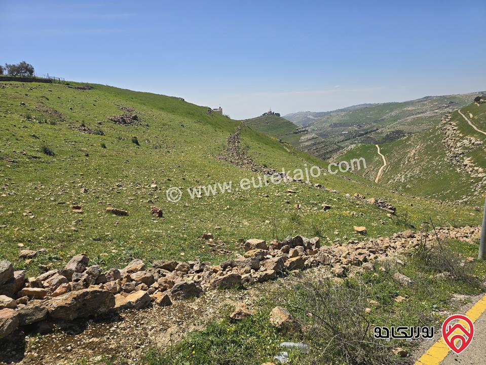 ارض مساحة 5 دونم و 24م للبيع في السلط - أبو طاره