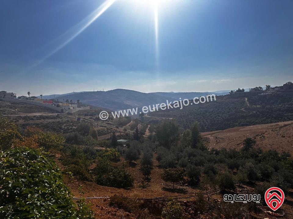 مزرعة فيها فيلا عدد 2 مساحة كل فيلا 300م على أرض 14 دونم للبيع في جرش