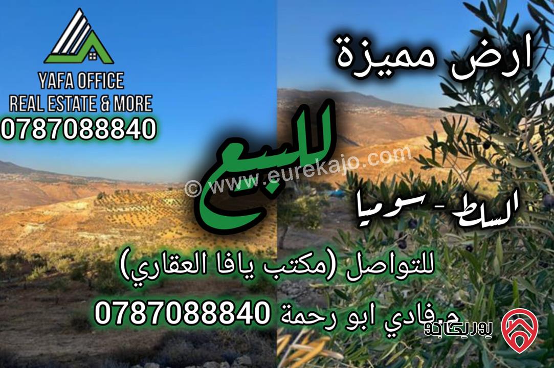 أرض مساحة 4 دونم و 500م للبيع في السلط – سوميا
