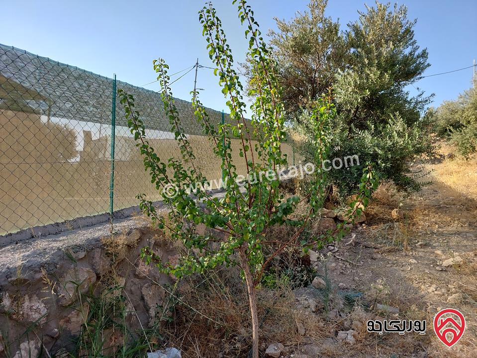 مزرعة مساحة 4 دونم للبيع في غرب عمان - البحاث 