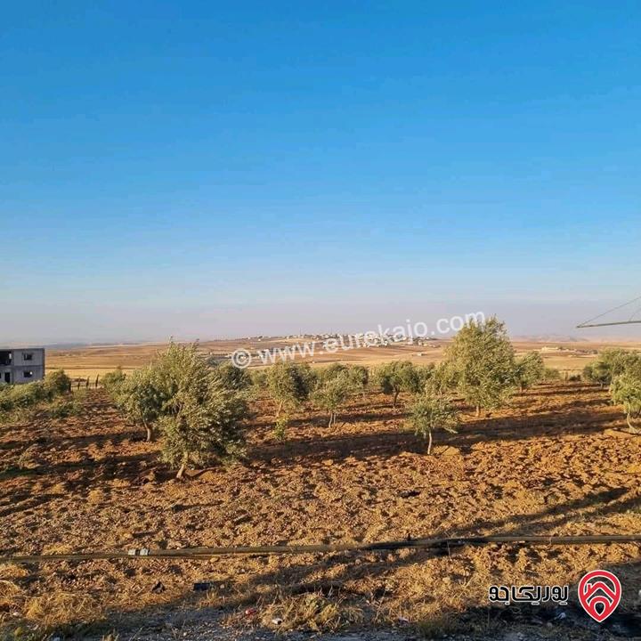 أرض زراعية مساحة 25 دونم للبيع في الكرك - فقوع
