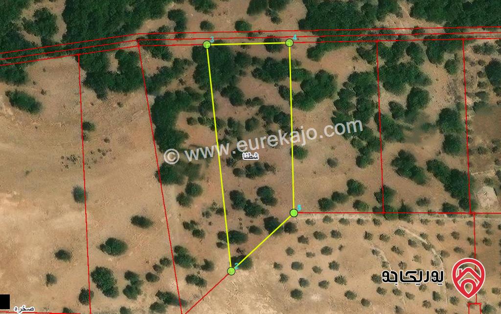 قطعة ارض مساحة 3936م للبيع في اربد - منطقة شطنا حوض الجريده